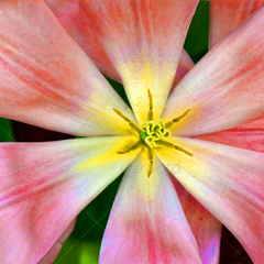 DDOS在线压力测试