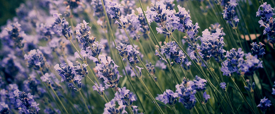 自助下单发卡的DDOS在线攻击