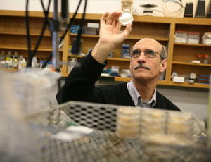 Web漏洞扫描工具