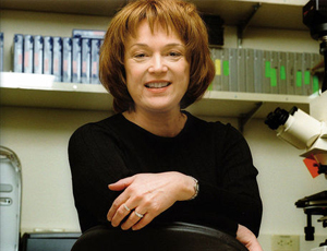 在线DDOS压力测试网页端