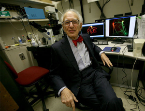 服务器攻击软件