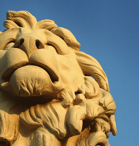 自动攻击网站工具下载