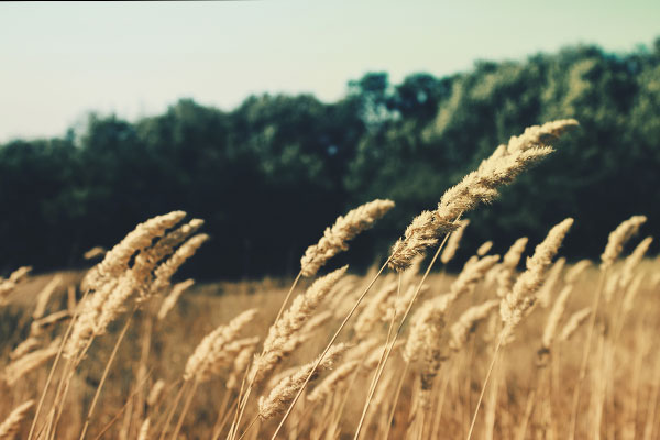 DDOS在线攻击平台