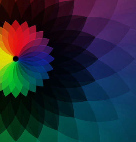 自动攻击网站工具下载