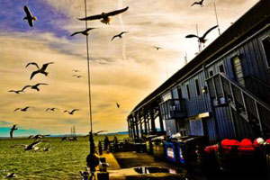 攻击网站的方法