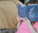 在线DDOS平台攻击