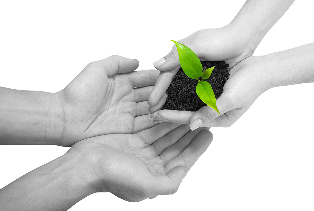 怎样充值最安全的CC在线压力测试