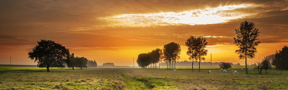 ddos压力在线测试平台