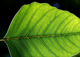 怎么去攻击一个网站与防护