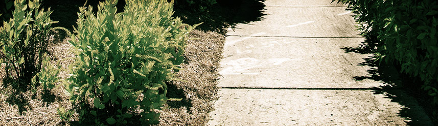 ddos在线攻击工具