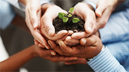 服务器攻击软件