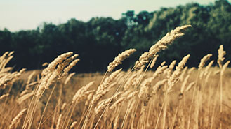 攻击网站服务器