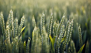 ddos压力测试网页端