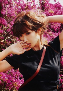 在线支付即收的ddos在线网页端