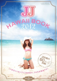 DDOS压力测试网页端